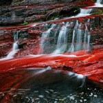 Red creek National Park Canada Michael Melford