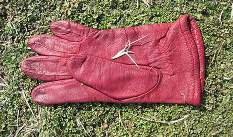 red leather glove