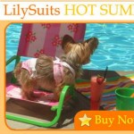 Swim Suits Collection at Little Lily
