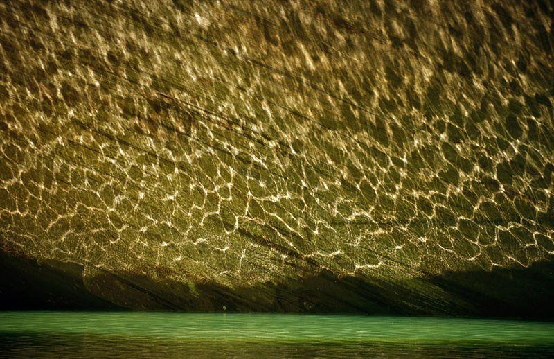 Water light peony feathers pattern