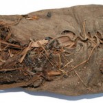 World s oldest sneaker shoe