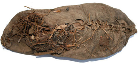 World s oldest sneaker shoe